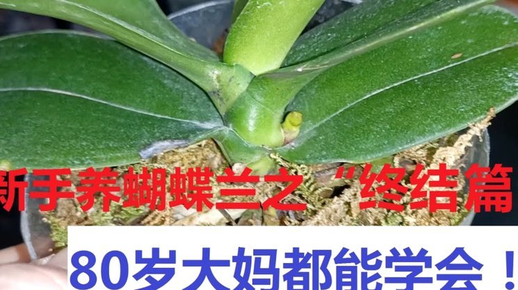 3000万先生希门尼斯，一年无球可进