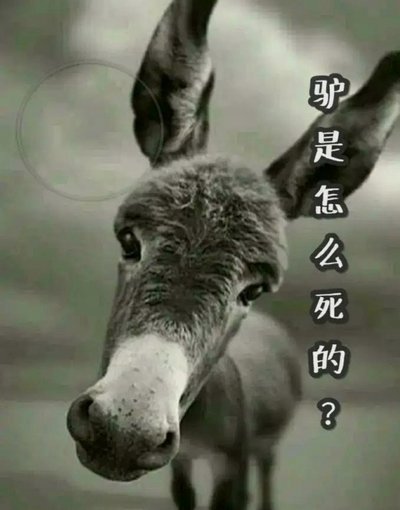 别犟，如果跨级，最有可能的是小邝