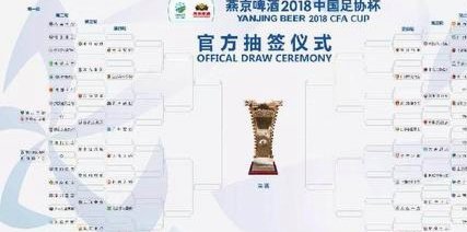 足协杯抽签：蓉城客战玉昆，泰山遇三镇，申花遇海牛