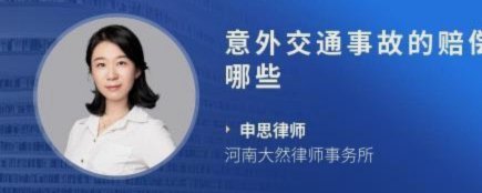 新华社评申思事件：凸显主体监管责任松弛，部门之壁未打通