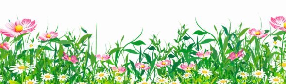 若斯卡洛尼排兵布阵失误应否哭泣？